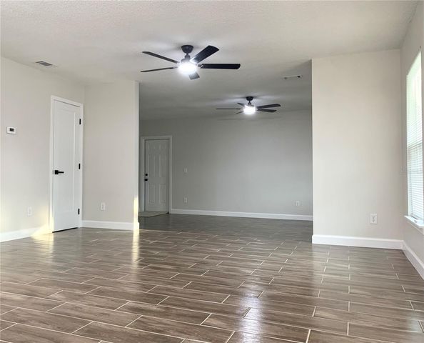 115 S LAKE PLEASANT ROAD, Apopka, FL 32703