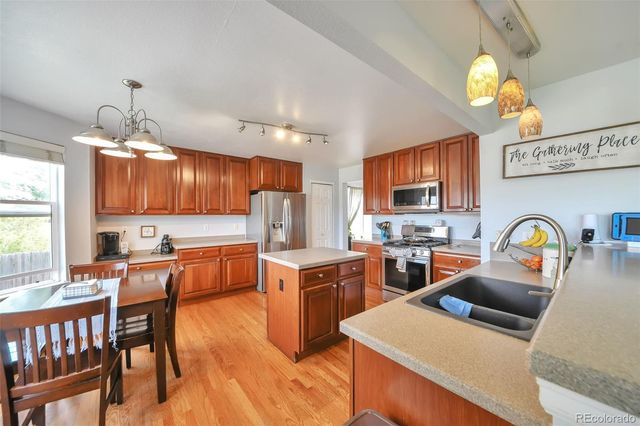 8351 Feather Grass Court, Parker, CO 80134