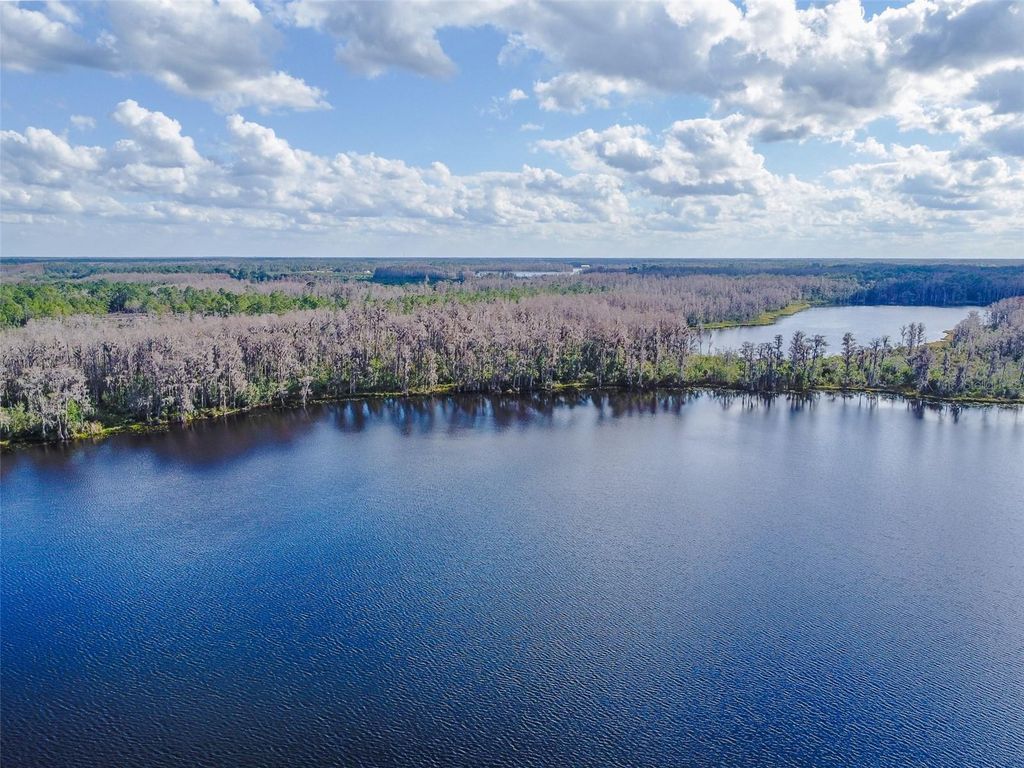 Image 14 of property listing at 7700 FLORIDA BOYS RANCH ROAD, Groveland, FL 34736