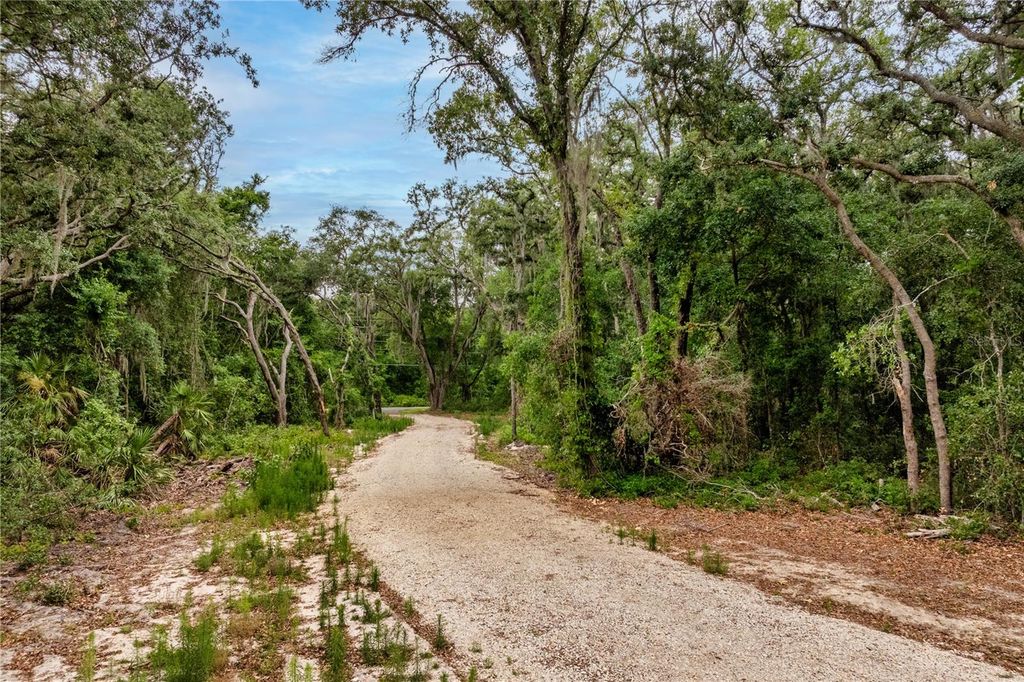 BAY STREET, Leesburg, FL 34788