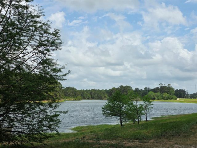 31230 Liberty Knoll Lane, Spring, TX 77386