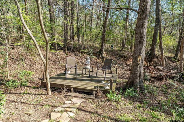 18716 Oakbrook, Tyler, TX 75703