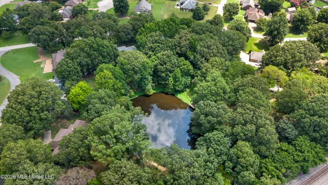 8265 Windersgate Drive, Olive Branch, MS 38654