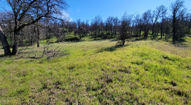 18330 Morning Dew Road, Cottonwood, CA 96022