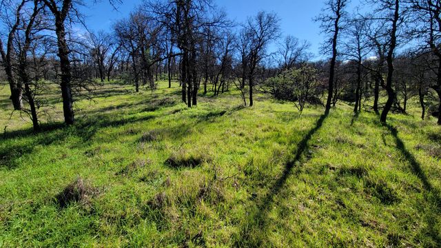 18330 Morning Dew Road, Cottonwood, CA 96022