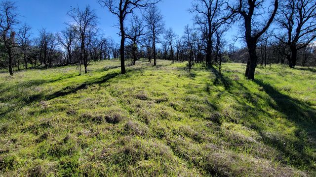 18330 Morning Dew Road, Cottonwood, CA 96022