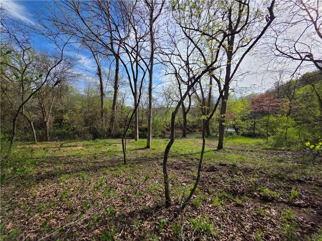 1655 Wilson Springs Road, Harrison, AR 72601