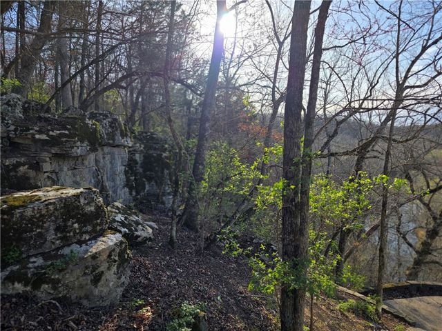 1655 Wilson Springs Road, Harrison, AR 72601