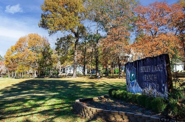 175 Old Gate Path, Holly Lake Ranch, TX 75765