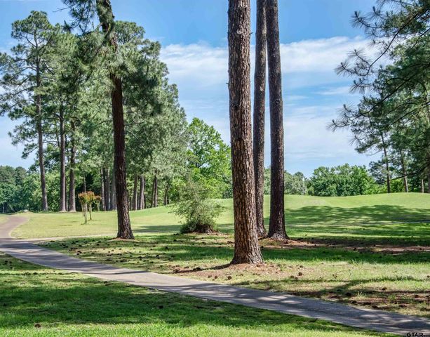 175 Old Gate Path, Holly Lake Ranch, TX 75765