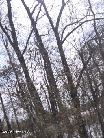 101 Esterville Road, Elizabethtown, NC 28337