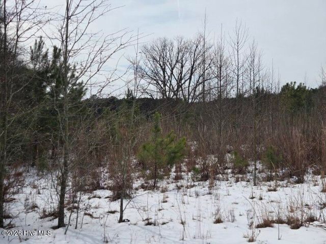 101 Esterville Road, Elizabethtown, NC 28337