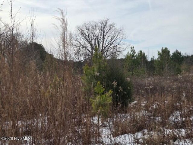 101 Esterville Road, Elizabethtown, NC 28337