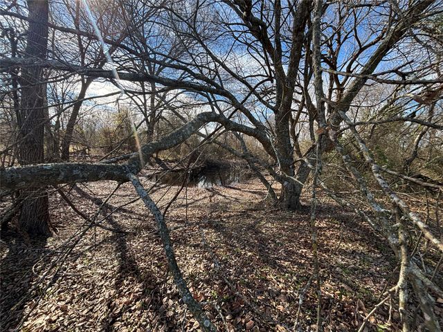 TBD Cr-2138, Kemp, TX 75143