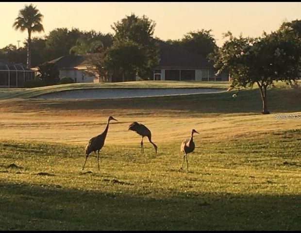 12765 SE 92ND COURT ROAD, Summerfield, FL 34491
