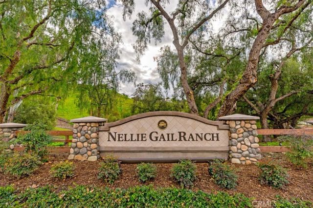 25111 Buckboard Lane, Laguna Hills, CA 92653