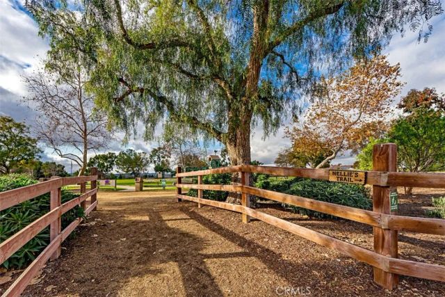 25111 Buckboard Lane, Laguna Hills, CA 92653