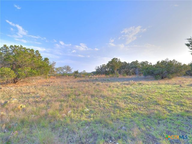 313 Mustang Lane, Spring Branch, TX 78070