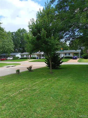 9601 Lifford Court, St Louis, MO 63136