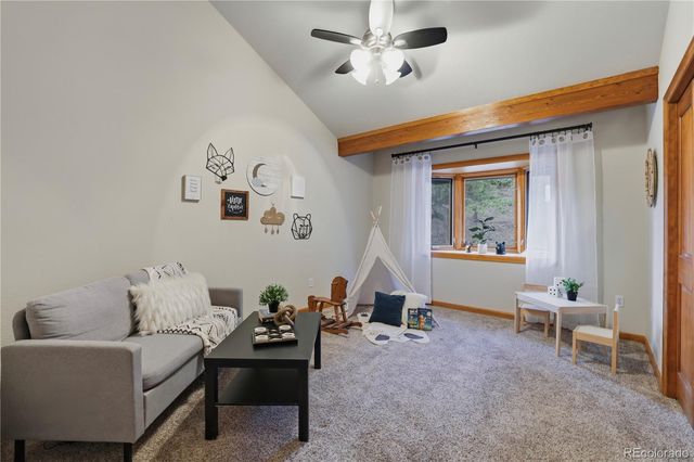 580 Sunny Glen Court, Woodland Park, CO 80863