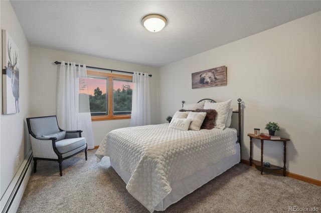 580 Sunny Glen Court, Woodland Park, CO 80863