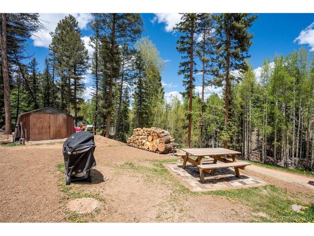 44 Silver Trl, Florissant, CO 80816