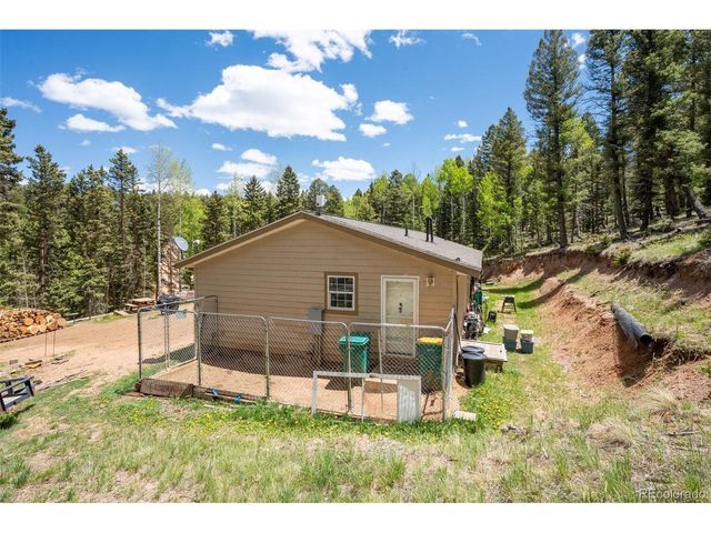 44 Silver Trl, Florissant, CO 80816