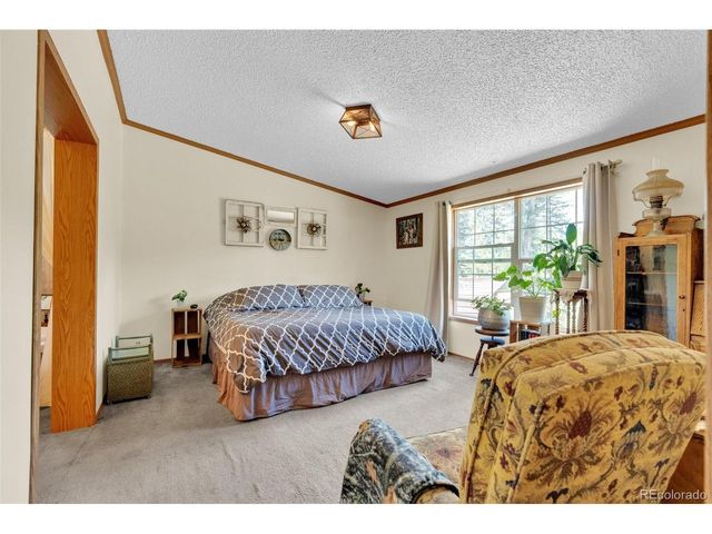 44 Silver Trl, Florissant, CO 80816