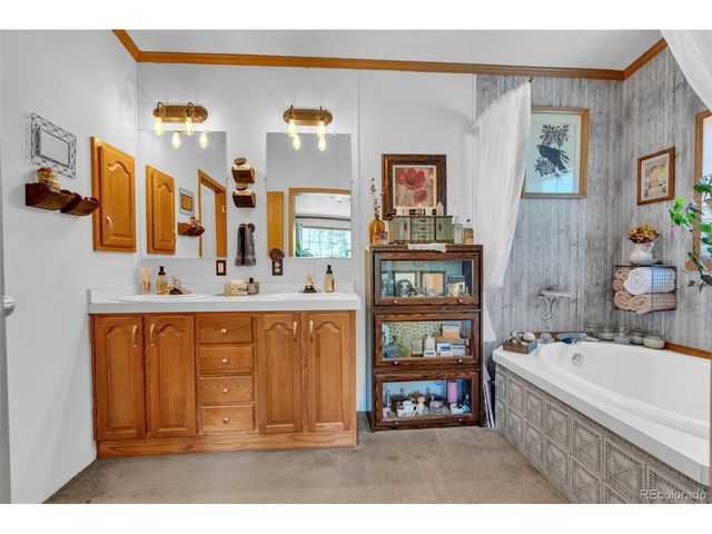 44 Silver Trl, Florissant, CO 80816