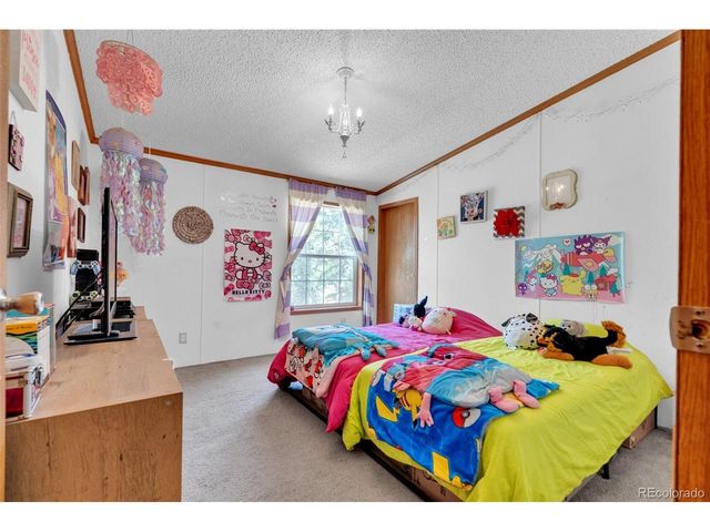 44 Silver Trl, Florissant, CO 80816
