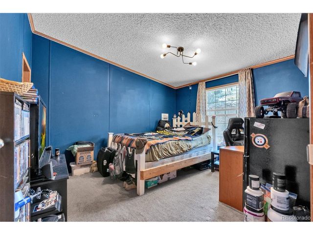 44 Silver Trl, Florissant, CO 80816