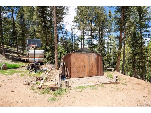 44 Silver Trl, Florissant, CO 80816