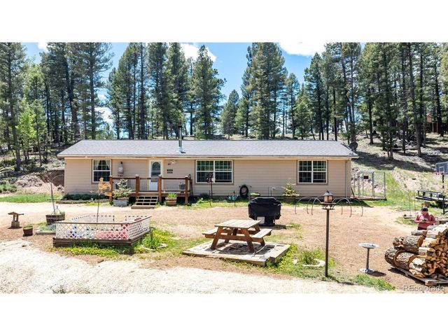 44 Silver Trl, Florissant, CO 80816