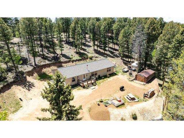 44 Silver Trl, Florissant, CO 80816