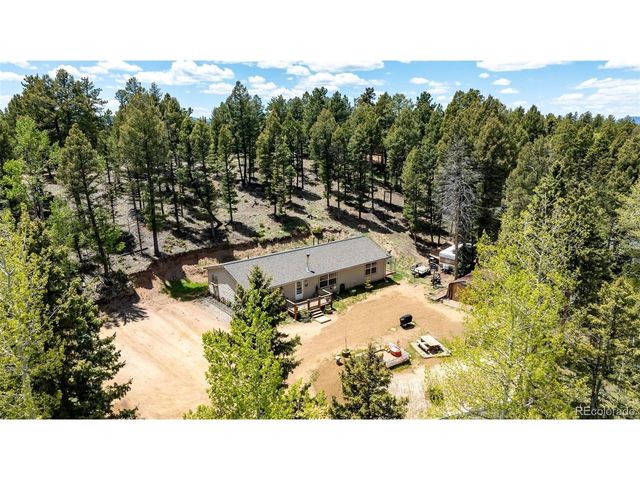 44 Silver Trl, Florissant, CO 80816