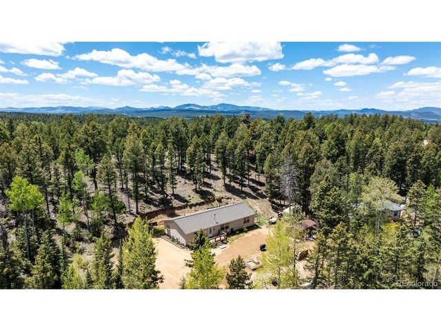 44 Silver Trl, Florissant, CO 80816