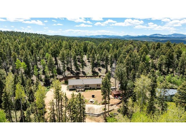 44 Silver Trl, Florissant, CO 80816
