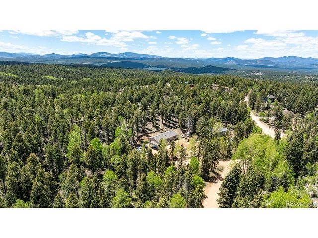 44 Silver Trl, Florissant, CO 80816