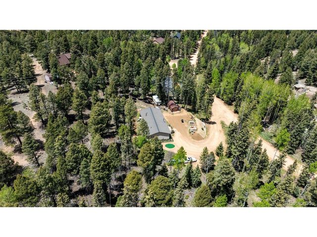 44 Silver Trl, Florissant, CO 80816