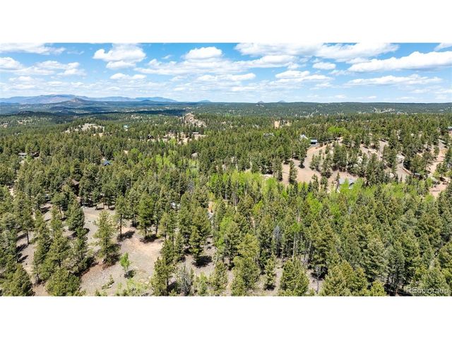 44 Silver Trl, Florissant, CO 80816