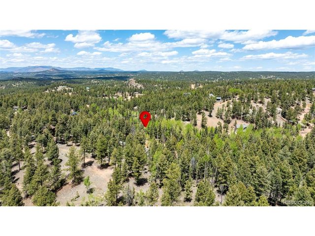44 Silver Trl, Florissant, CO 80816