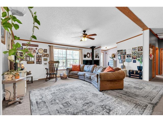 44 Silver Trl, Florissant, CO 80816