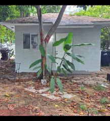 1243 NE 159TH Street, North Miami Beach, FL 33162
