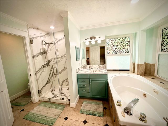 1309 Piney Woods Drive, Friendswood, TX 77546