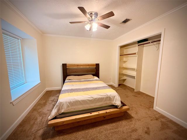 1309 Piney Woods Drive, Friendswood, TX 77546