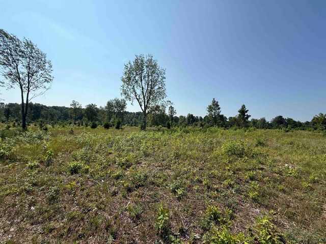 Parcel A8 S Bright Road, Kasson Twp, MI 49664