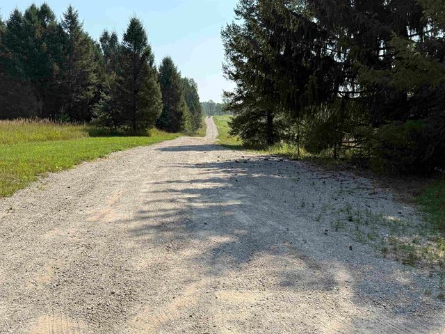 Parcel A8 S Bright Road, Kasson Twp, MI 49664