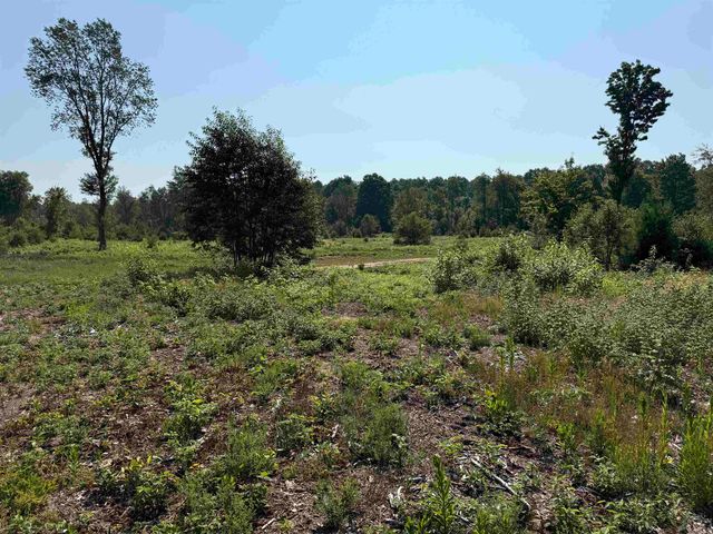 Parcel A8 S Bright Road, Kasson Twp, MI 49664