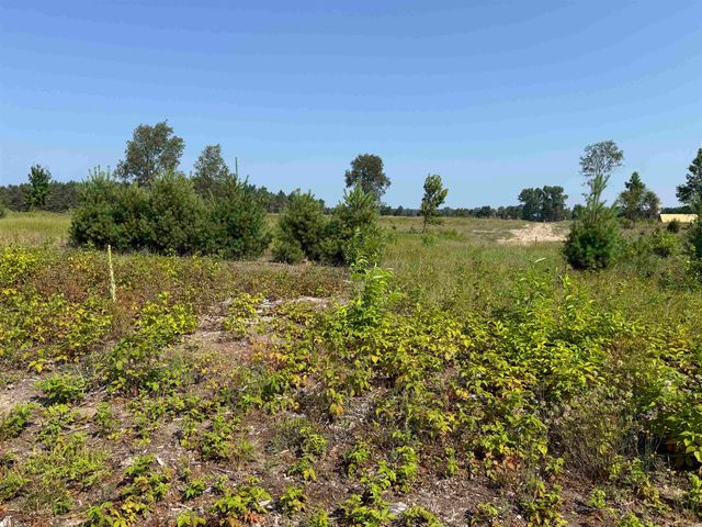 Parcel A8 S Bright Road, Kasson Twp, MI 49664