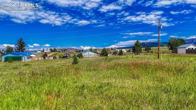1129 Will Scarlet Drive, Divide, CO 80814